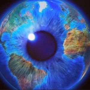 Meet your Posher, Tami